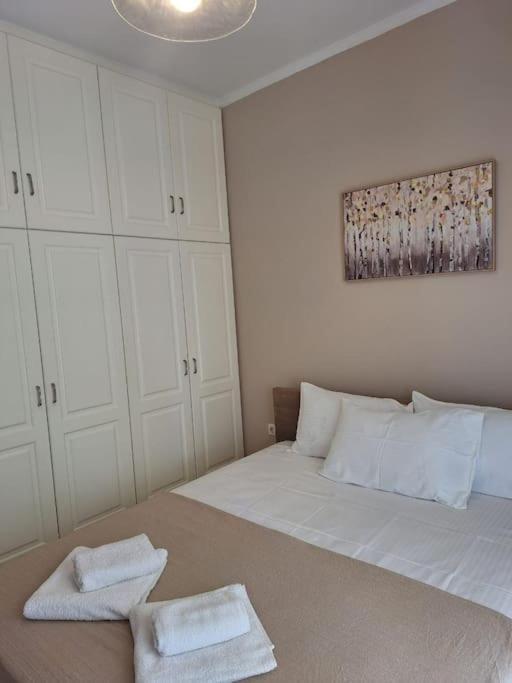 Family House Apartment Corfu  ภายนอก รูปภาพ